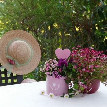 still-life-3394843_1920